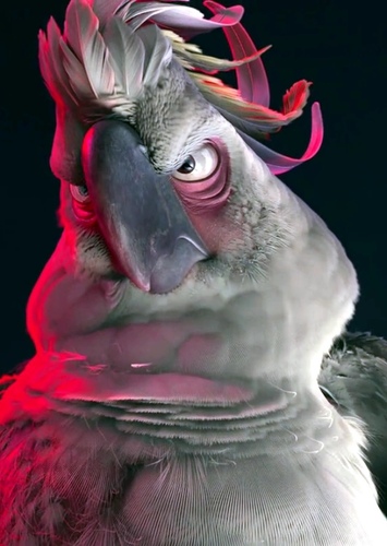 Nigel