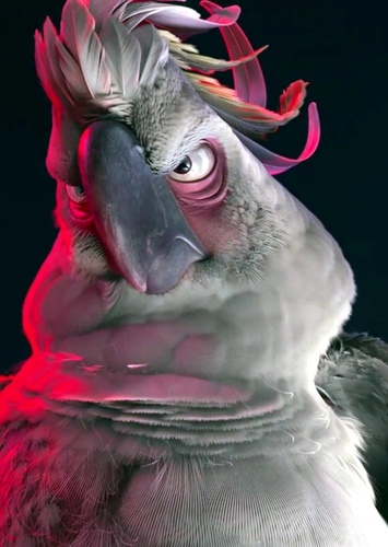 Nigel