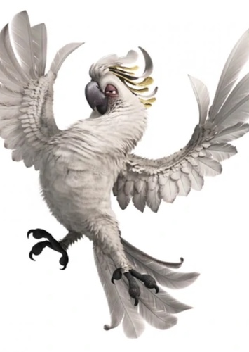 Nigel the Cockatoo