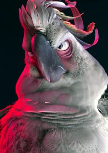 Nigel the Sulphur-Crested Cockatoo