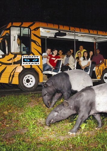 Night Safari