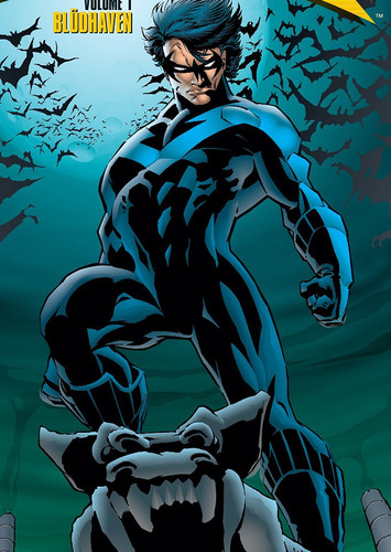 Nightwing/Robin