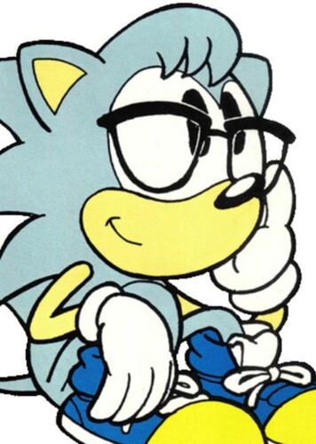 Nicky the Hedgehog