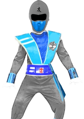 Owen Fong The Ninja Ball Silver Ranger