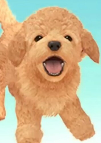 Nintendog