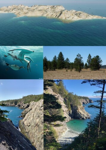 Niobrara Chalk