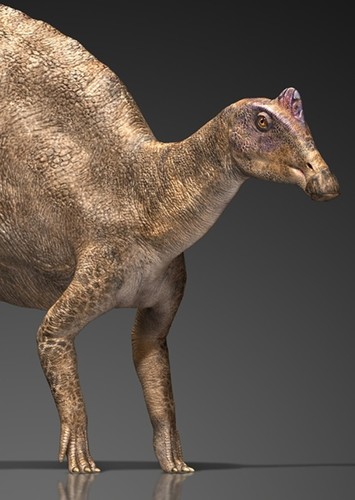 Nipponosaurus