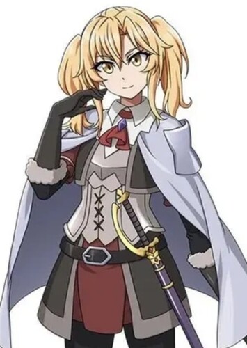 Noble Fencer