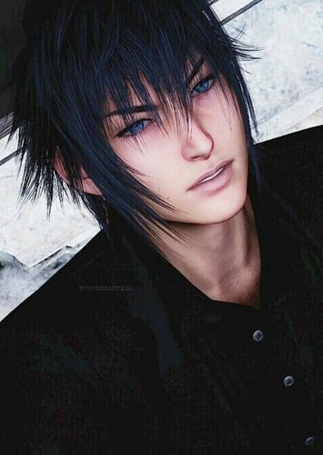 Noctis Lucis Caelum
