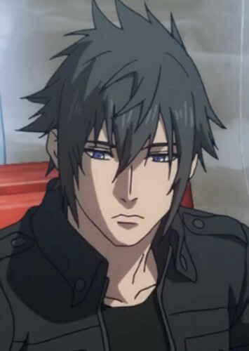 Noctis Lucis Caelum