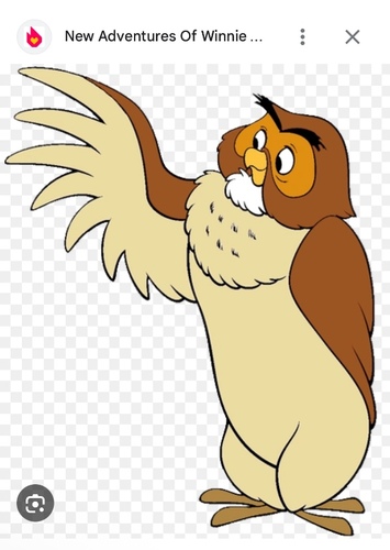 Owl