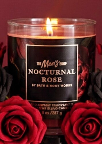 Nocturnal Rose