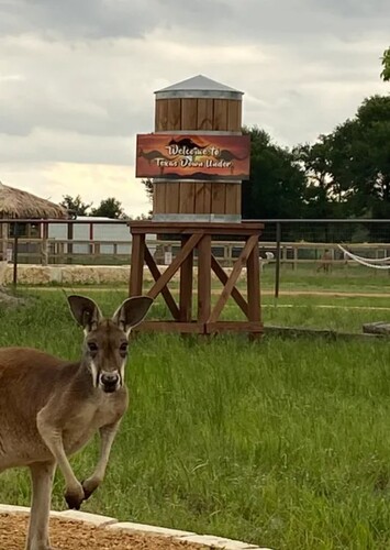 North Texas Safari Park