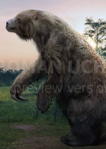 Northern Giant Ground Sloth