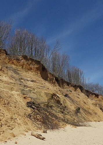 Norwich Crag Formation
