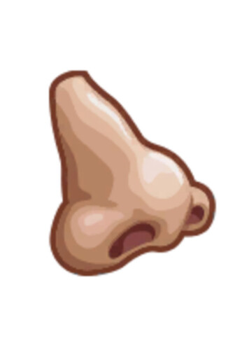 Nosy