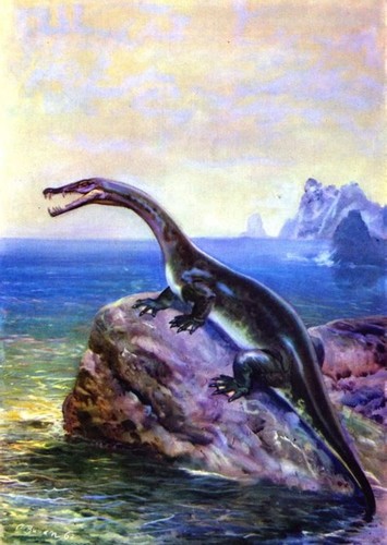 Nothosaurus