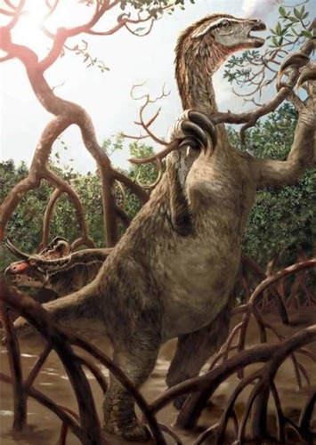 Nothronychus