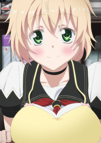 Nova Luminous