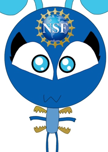 NSF