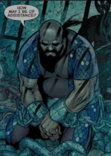 Nuidis Vulko