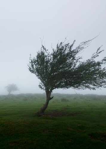 Object: Wind