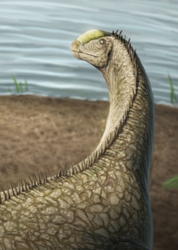 Oceanotitan
