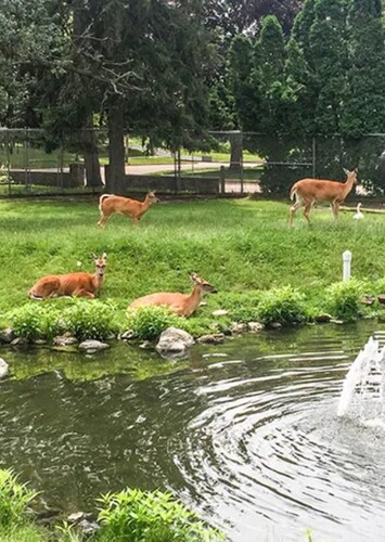 Ochsner Park Zoo