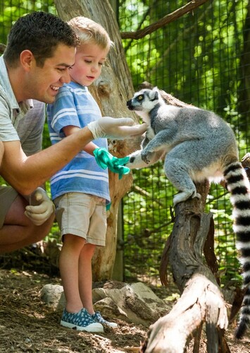 Oglebay Good Zoo