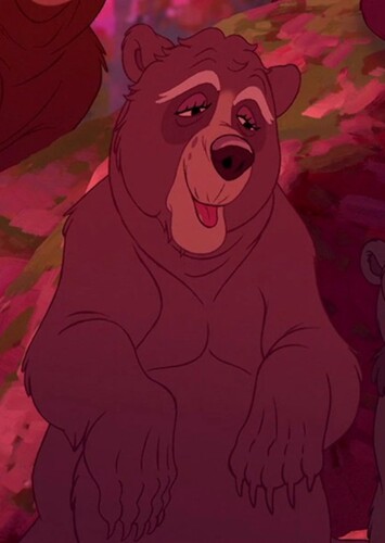 Old lady bear