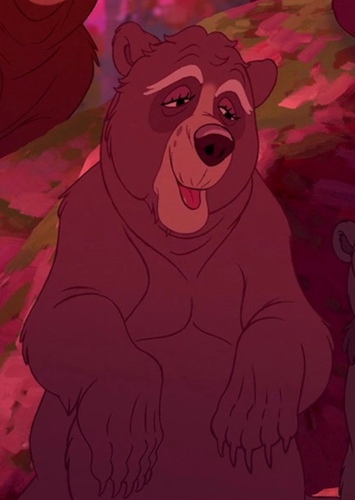 Old lady bear