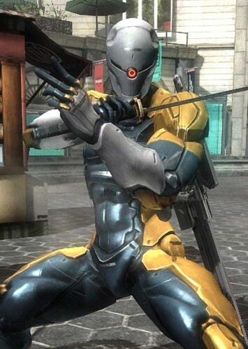 Gray Fox