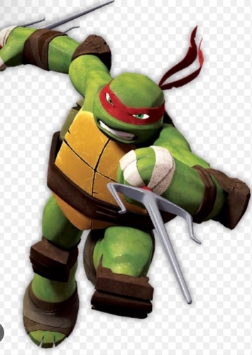 Older Teenage Raphael