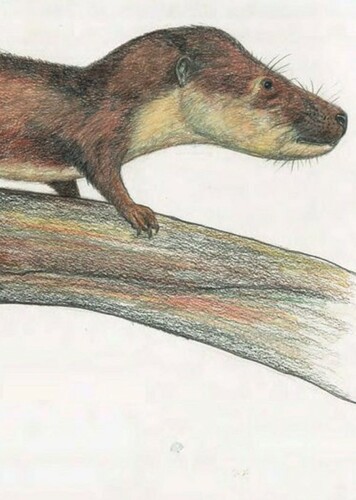 Oligokyphus