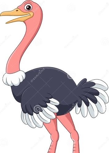 Olivia the Ostrich