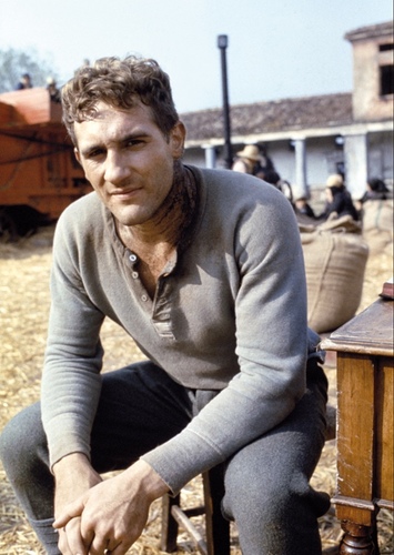 Olmo Dalcò
