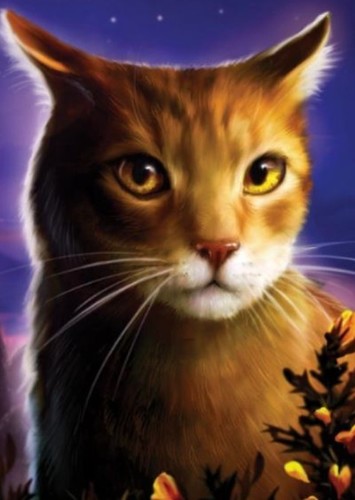 Onewhisker