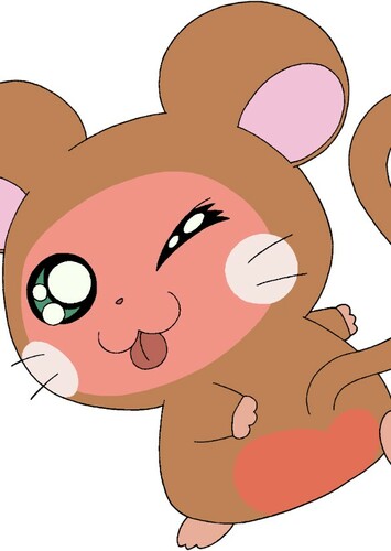 Ook-Ook