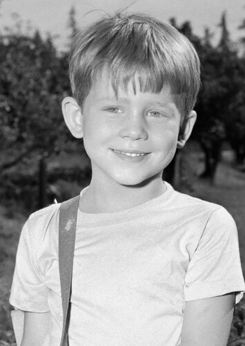 Opie Taylor