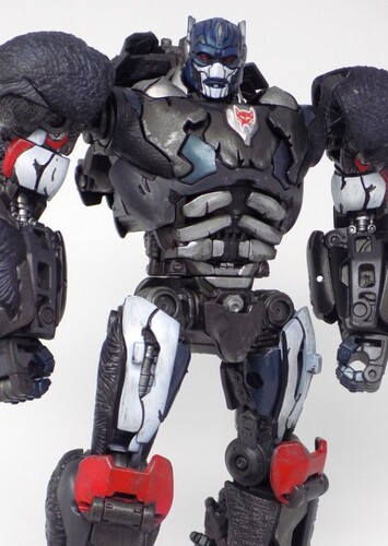 Optimus primal