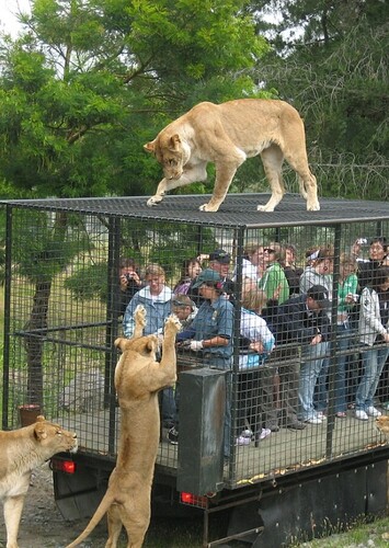 Orana Wildlife Park