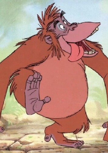 Orangutan