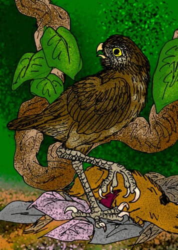 Ornimegalonyx