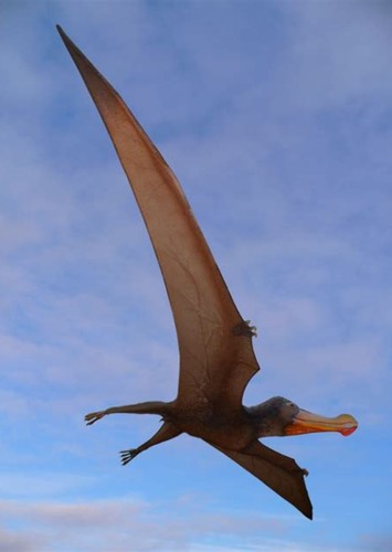 Ornithocherius