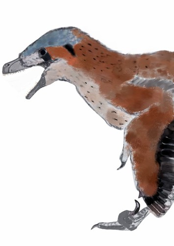 Ornithodesmus
