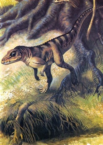 Ornithosuchus