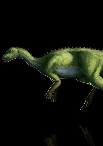 Orodromeus