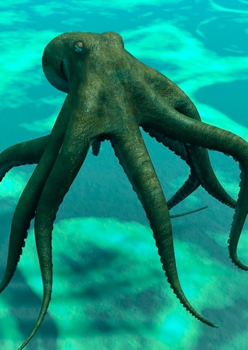 Oscar The Octopus