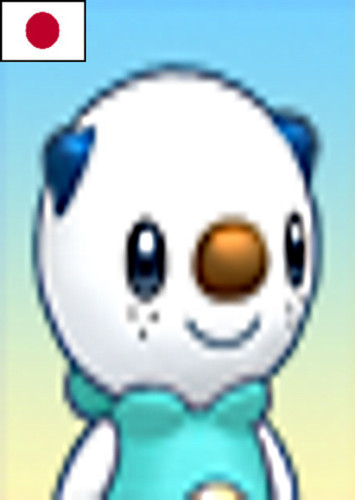 Oshawott (Japanese Dub)