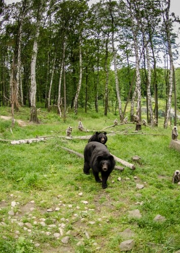 Ostrava Zoo